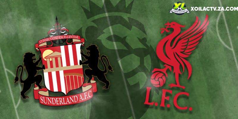 Soi kèo Sunderland vs Liverpool, 3h15 12/2 - Ngo?i h?ng Anh